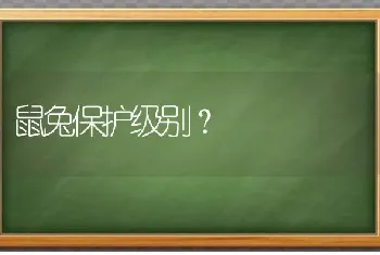 鼠兔保护级别？