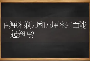 两厘米剃刀和五厘米红面能一起养吗？