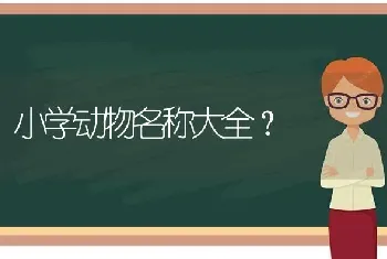 小学动物名称大全？