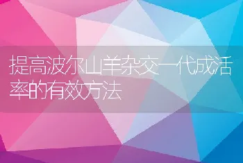 提高波尔山羊杂交一代成活率的有效方法