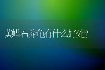 黄蜡石养龟有什么好处？