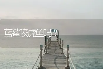 蓝鲨咬虎鱼吗？