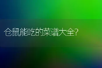 仓鼠能吃的菜谱大全？