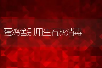 耕牛春繁春养技术要点