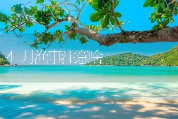 4月渔事注意啥