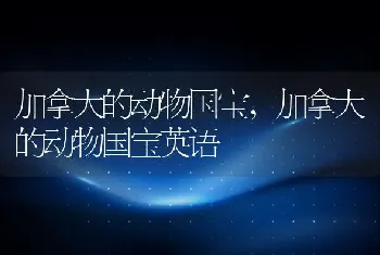 加拿大的动物国宝，加拿大的动物国宝英语