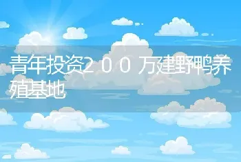 青年投资200万建野鸭养殖基地