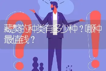 藏獒的种类有多少种？哪种最值钱？