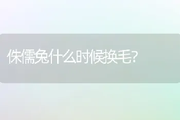 侏儒兔什么时候换毛？