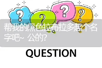 帮我的黑色拉布拉多起个名字吧~公的？