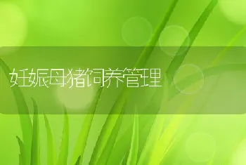 山区库区鮰鱼高效养殖技术探讨