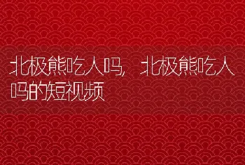 北极熊吃人吗，北极熊吃人吗的短视频