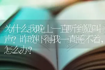 为什么我晚上一直听到猫叫声？昨晚吓得我一直睡不着，怎么办？