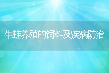 牛蛙养殖的饲料及疾病防治