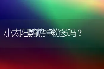 小太阳鹦鹉掉粉多吗？