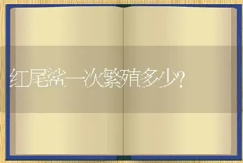 宠物兔子的饲养方法和注意事项？