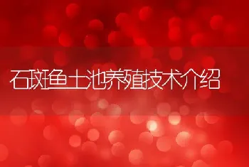 石斑鱼土池养殖技术介绍