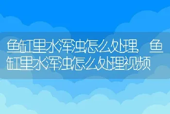 鱼缸里水浑浊怎么处理，鱼缸里水浑浊怎么处理视频