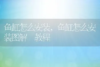 鱼缸怎么安装，鱼缸怎么安装图解 教程