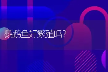 鹦鹉鱼好繁殖吗？