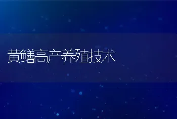 黄鳝高产养殖技术