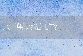 八哥鸟最多活几年？