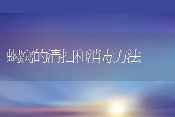 蝎窝的清扫和消毒方法