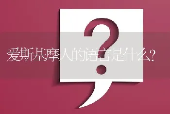 爱斯基摩人的语言是什么？