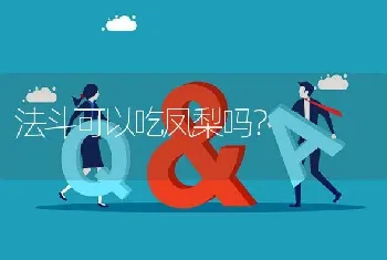 法斗可以吃凤梨吗？