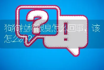 狗狗拉稀很臭怎么回事，该怎么办？