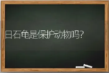 日石龟是保护动物吗？