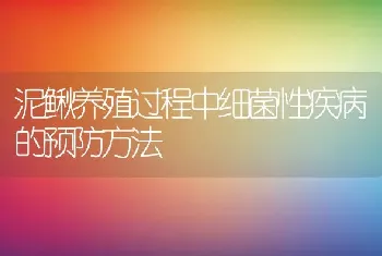 泥鳅养殖过程中细菌性疾病的预防方法