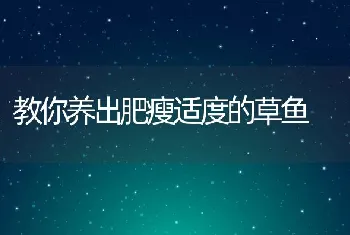 教你养出肥瘦适度的草鱼