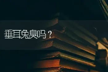 垂耳兔臭吗？