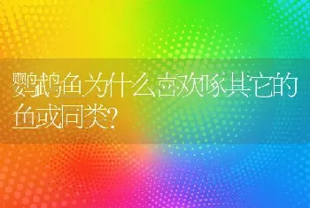 鹦鹉鱼为什么喜欢啄其它的鱼或同类？