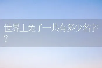 世界上兔子一共有多少名字？