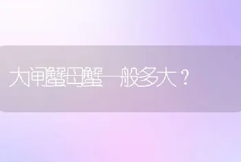 大闸蟹母蟹一般多大？