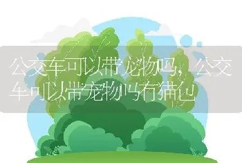 公交车可以带宠物吗，公交车可以带宠物吗有猫包