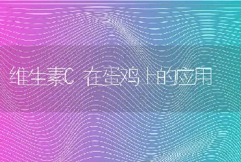 维生素C在蛋鸡上的应用