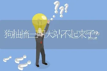 狗抽搐三四天站不起来了？