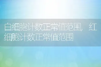 白细胞计数正常值范围，红细胞计数正常值范围