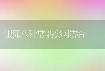 银狐八种常见疾病防治