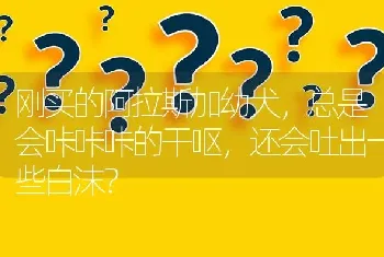 刚买的阿拉斯加幼犬，总是会咔咔咔的干呕，还会吐出一些白沫？