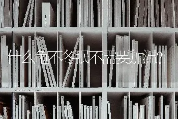 我家吉娃娃不知道怎么了一劲哼哼，昨天我看到他吃骨头但是我不知道他吃进去了没，我就把骨头扔了，可？