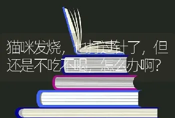 猫咪发烧，也打过针了，但还是不吃不喝，怎么办啊？