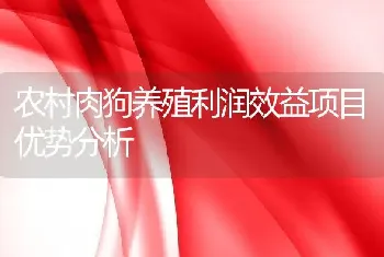 农村肉狗养殖利润效益项目优势分析