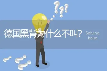 德国黑背为什么不叫？