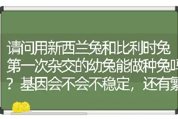 请问用新西兰兔和比利时兔第一次杂交的幼兔能做种兔吗?基因会不会不稳定，还有繁殖能力会不会有问题？