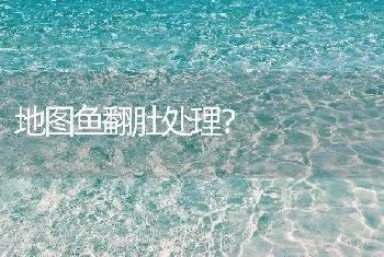 长尾樱桃鱼为什么不红？