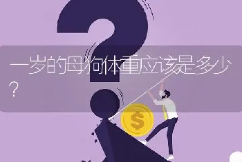 一岁的母狗体重应该是多少？